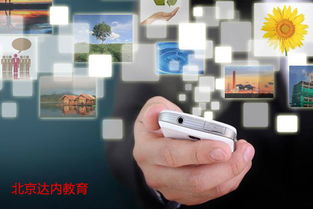 2017高考專業(yè)解讀 計算機專業(yè)前景展望——網(wǎng)絡與信息安全與軟件開發(fā)方向